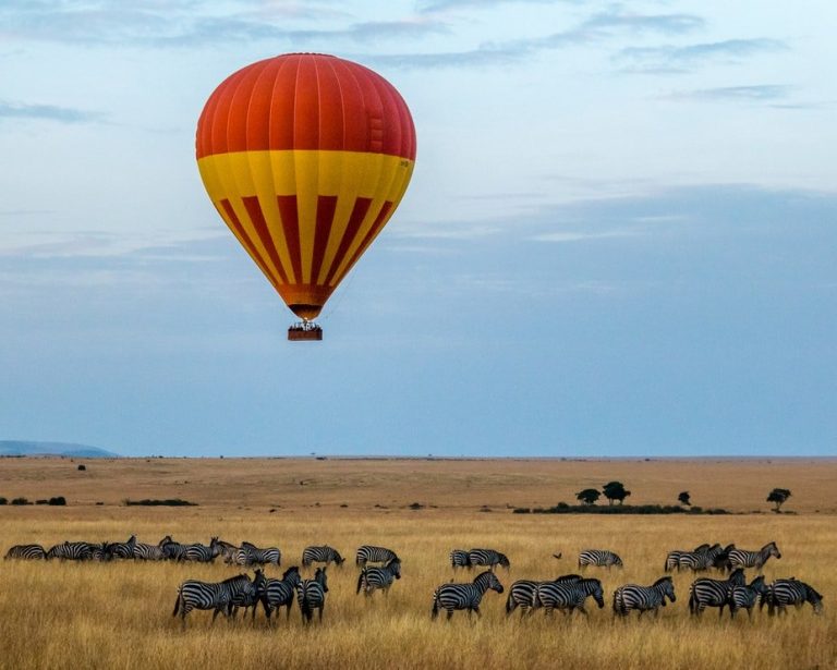 4-Giorni Spettacolare Masai Mara e Lago Nakuru