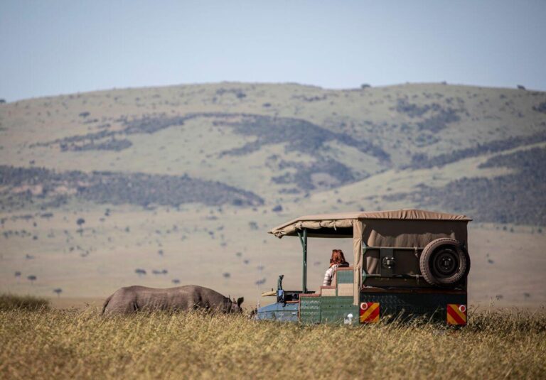 Game Drive - Sand River Masai Mara