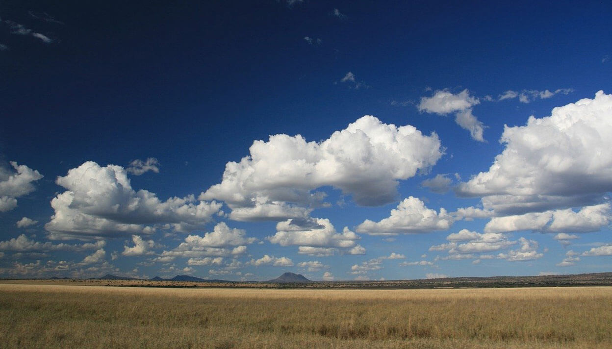 Serengeti National Park - Enjoy Collection Tours and Safaris