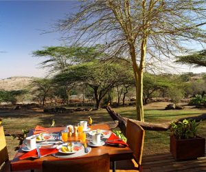 PikNik Masai Mara