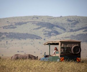 Game Drive - Sand River Masai Mara