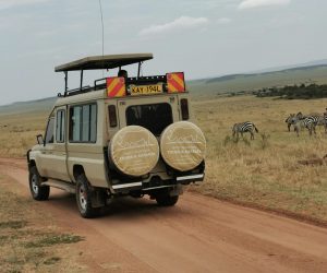 Zebre e Jeep-in game grive masai mara